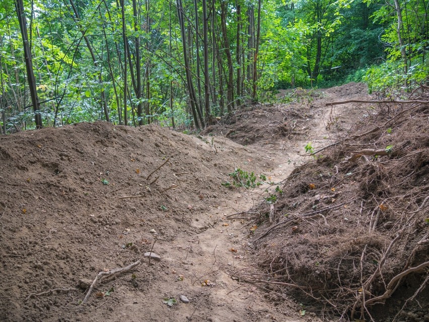 Singletracki to wąskie, zazwyczaj jednokierunkowe, kręte...