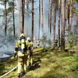 Pożar ok. 1 ha poszycia leśnego w Parku Narodowym Bory Tucholskie. Z żywiołem walczyło 18 zastępów straży pożarnej