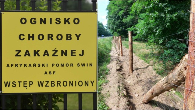 Budowa płotu wzdłuż "Szczucinki" ma się rozpocząć w najbliższym czasie. Wyłoniony został wykonawca dwóch pierwszych odcinków ogrodzenia