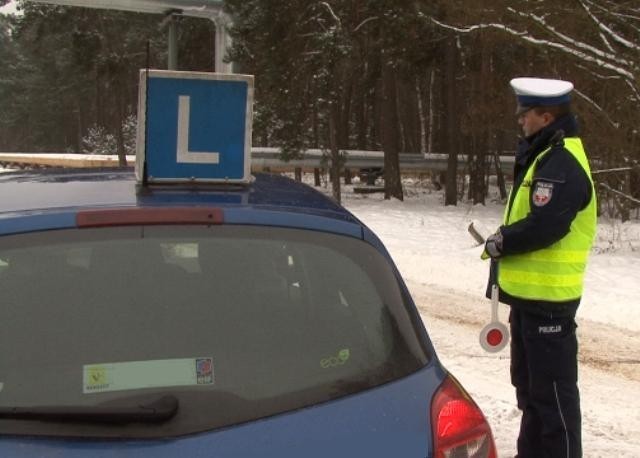 Kontrola samochodów szkół nauki jazdy