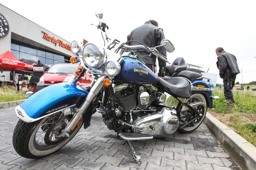 Zlot Harley Davidson w Myślęcinku. Do Bydgoszczy zjadą motocykliści z całej Europy