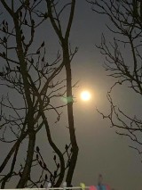 Września: Pełnia Różowego Księżyca - galeria zdjęć nadesłanych przez czytelników NM [8.02.2020]