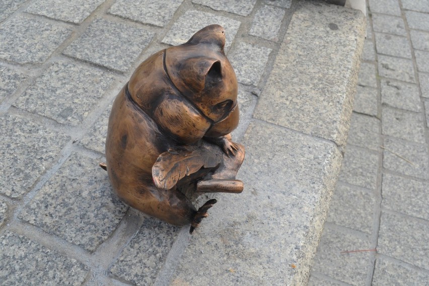 W Jaworznie na rynku odsłonięto pomnik chomika europejskiego. Na pyszczku ma maseczkę. Miasto od lat dba o populację gatunku