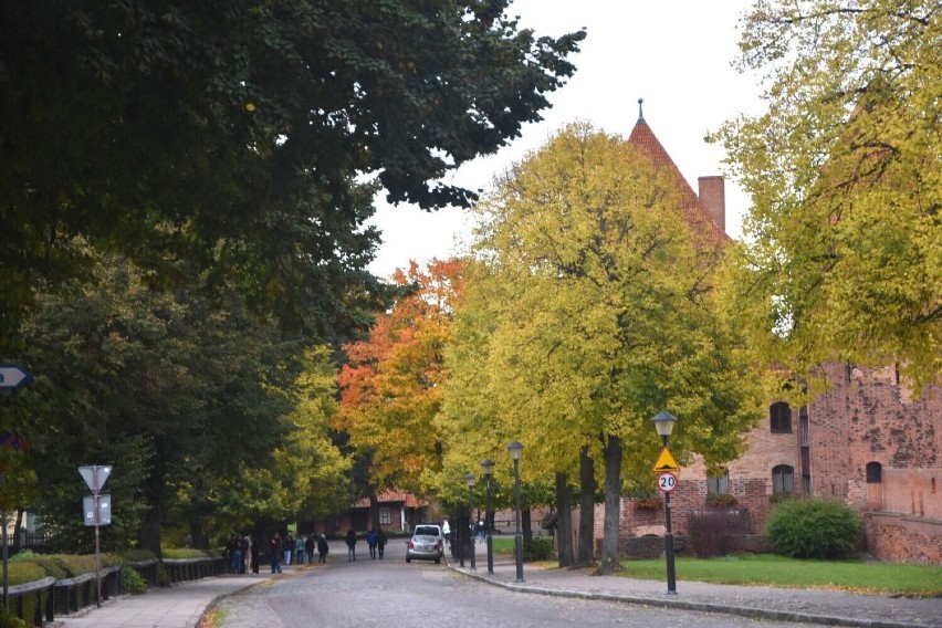 Malbork. Muzeum Zamkowe zaprasza na "Darmowy Listopad". Bezpłatny wstęp również do zamków w Sztumie i Kwidzynie