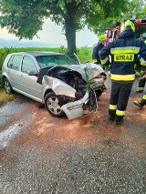 Wypadek pod Skokami. Samochód uderzył w drzewo. Małe dziecko zostało przewiezione do szpitala w Poznaniu 