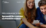 Działa nowy portal o Polskim Ładzie. Zobacz, co znajdziesz w nowym serwisie i oblicz swoje wynagrodzenie
