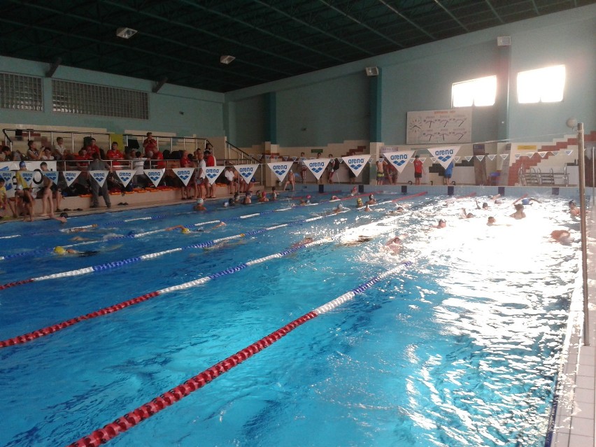 Mysłowiczanie na Mitingu Pływackim w Tychach 2013