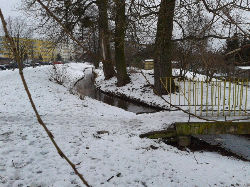 Struga Toruńska, popularnie Bacha na Rubinkowie