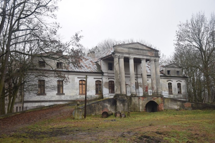Zespół pałacowy w Grodźcu stoi dziś w ruinie. Przy nim prywatny park, a w nim kilkusetletnie drzewa [ZDJĘCIA]