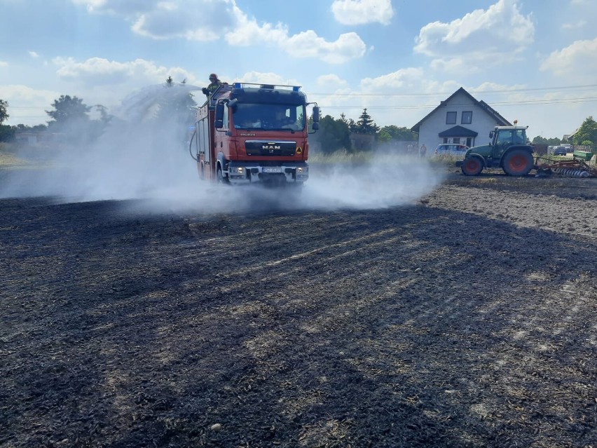 Gm. Szamotuły. Upały dają o sobie znać. Strażacy walczyli z pożarem zboża