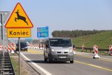 Utrudnienie na A1 w rejonie Piotrkowa Trybunalskiego. Będą usuwane szkody wyrządzone przez wichurę 