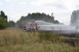 Pożar w Trzemesznie. Ogień się rozprzestrzeniał [Zobacz zdjęcia]