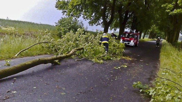 Lubuscy strażacy mieli ręce pełne roboty w związku z ulewami i porywistym wiatrem.