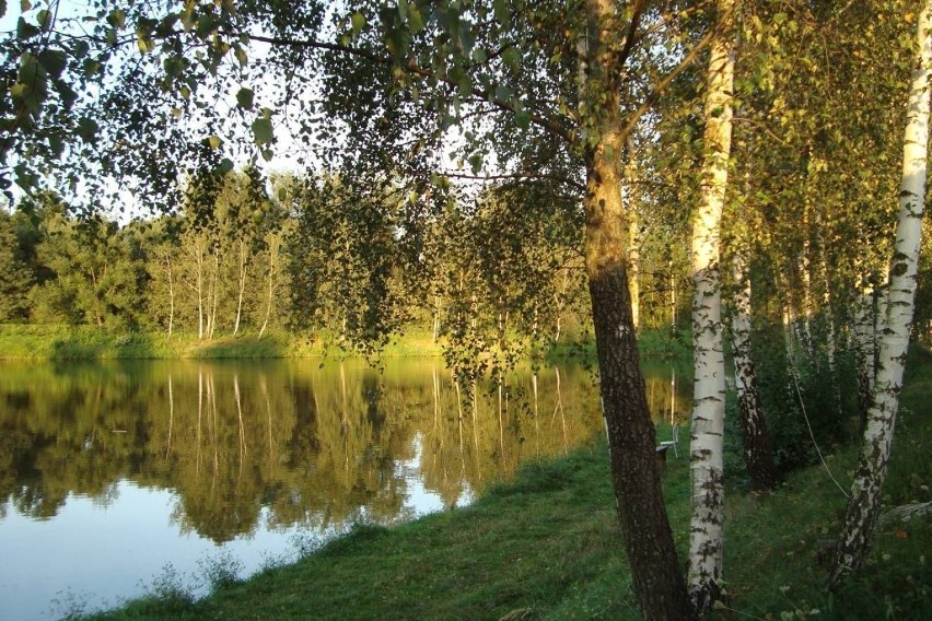 "Dolina Karpia". Fot. Ewa Bielańska