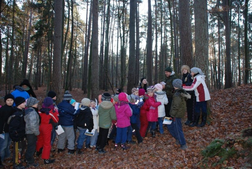 Wykłady i zabawy przyrodnicze dla najmłodszych mieszkańców w Parku Krajobrazowym Mierzeja Wiślana