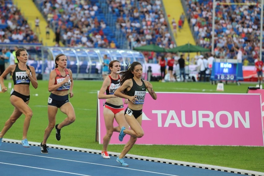 Tauron Stadion Śląski: chorzowski gigant będzie miał...