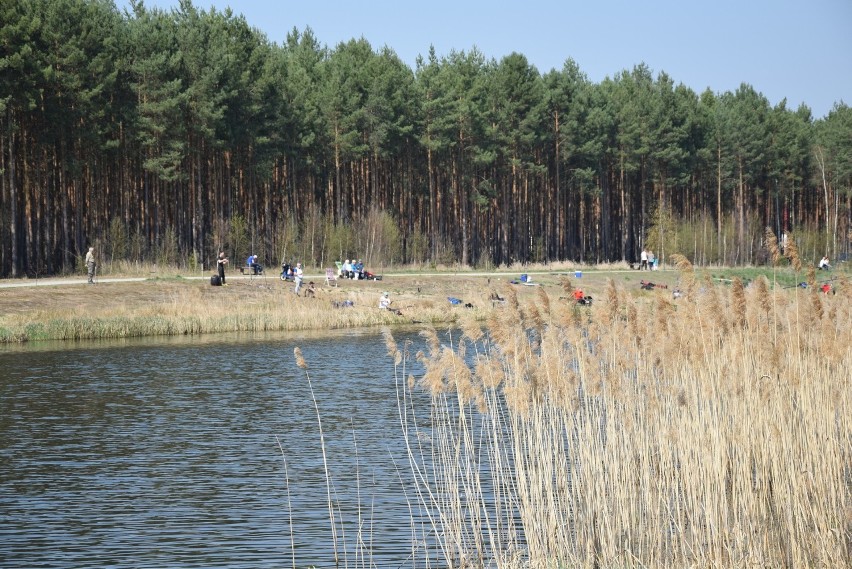 Czerwieńsk - rekreacyjne miejsce nad wodą po prawej stronie...