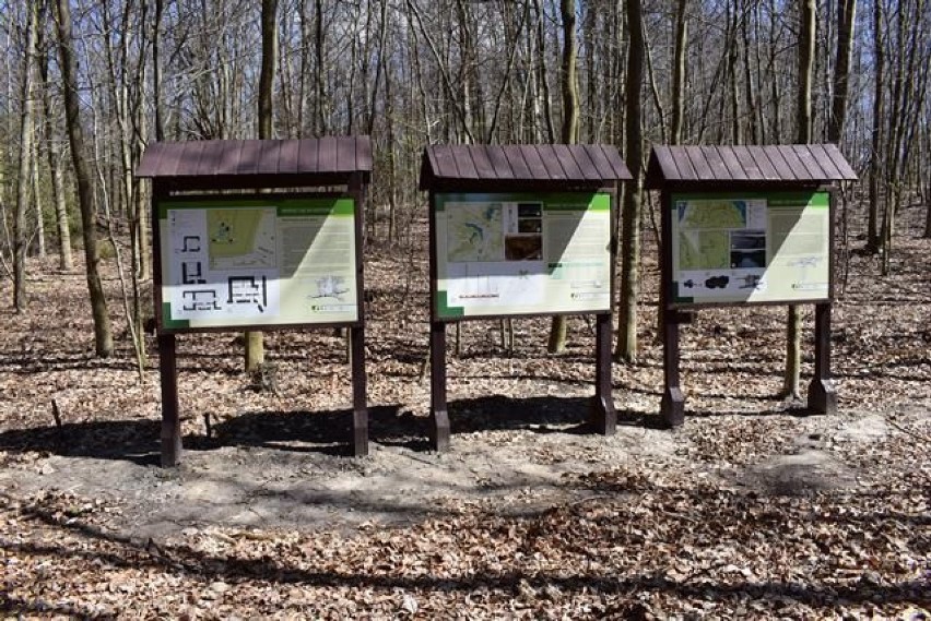 600 kilometrów szlaków rowerowych w powiecie szczecineckim. Zaprasza SzLOT [zdjęcia]