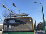 Ostrzelany trolejbus w Tychach. Prezes TLT chwali kierowcę