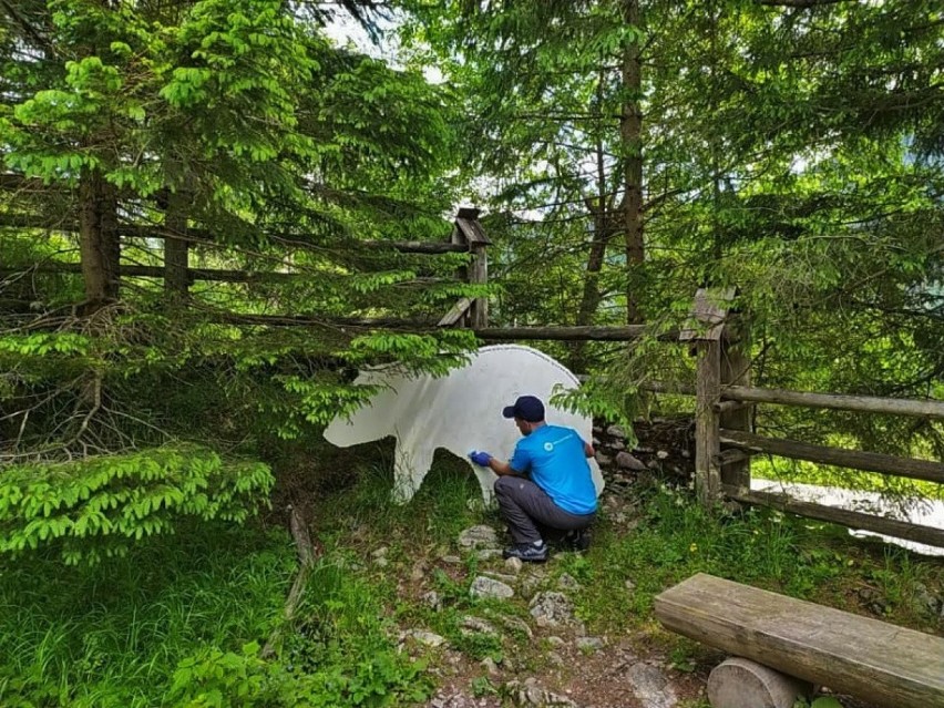 Tatry. Wolontariusze znów pomagają dbać o przyrodę i pilnować turystów [ZDJĘCIA]