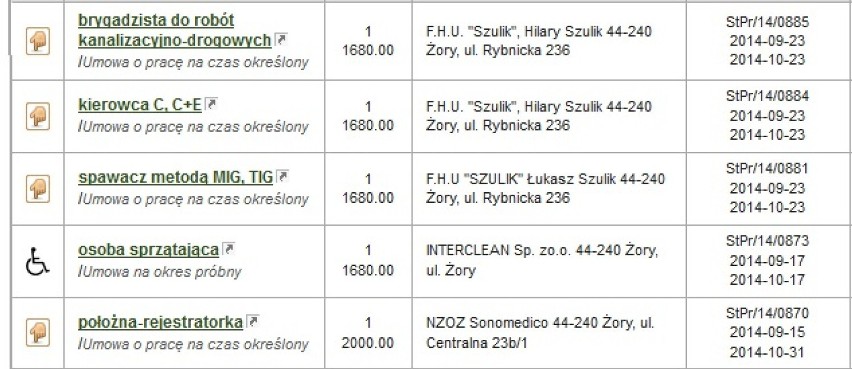 Oferty pracy Żory: Sprawdź, jakie są. Ile możesz zarobić?