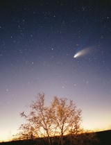 Niezwykła kometa rozświetli niebo. Będzie jaśniejsza od Księżyca!