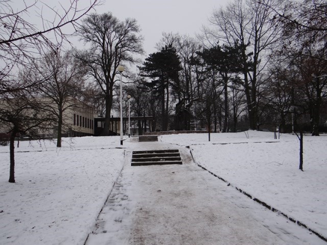 Park Miejski w Zduńskiej Woli