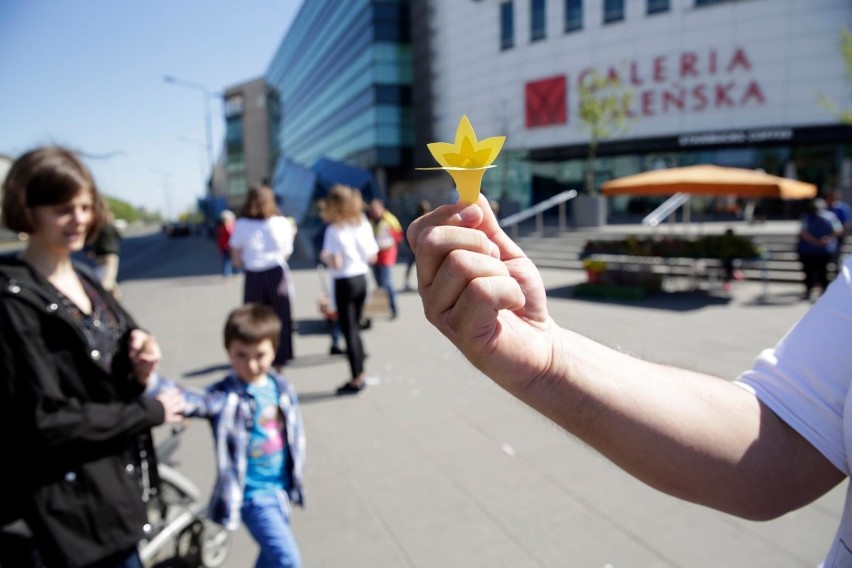 Akcja Żonkile 2019, Warszawa. Żółte kwiaty pojawiły się na...