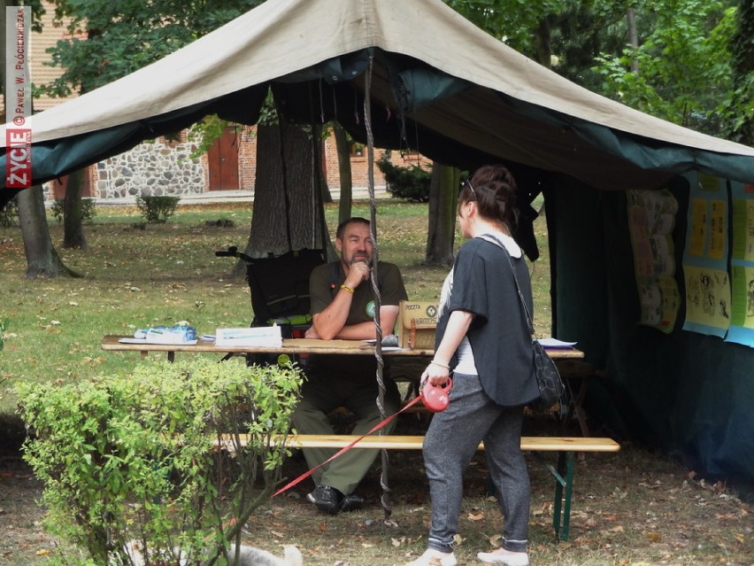 Harcerski obóz w krotoszyńskim parku