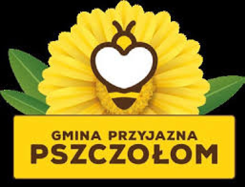 Szczawno-Zdrój podobnie jak Wałbrzych przystąpiło do...