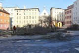 Plac św. Sebastiana w Opolu ogołocony. Znikają ostatnie drzewa [ZDJĘCIA]