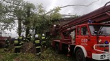 Wichura w powiecie poddębickim. Blisko 40 interwencji straży. W Wierzchach dwie topole spadły na budynek zarywając połowę dachu (ZDJĘCIA)