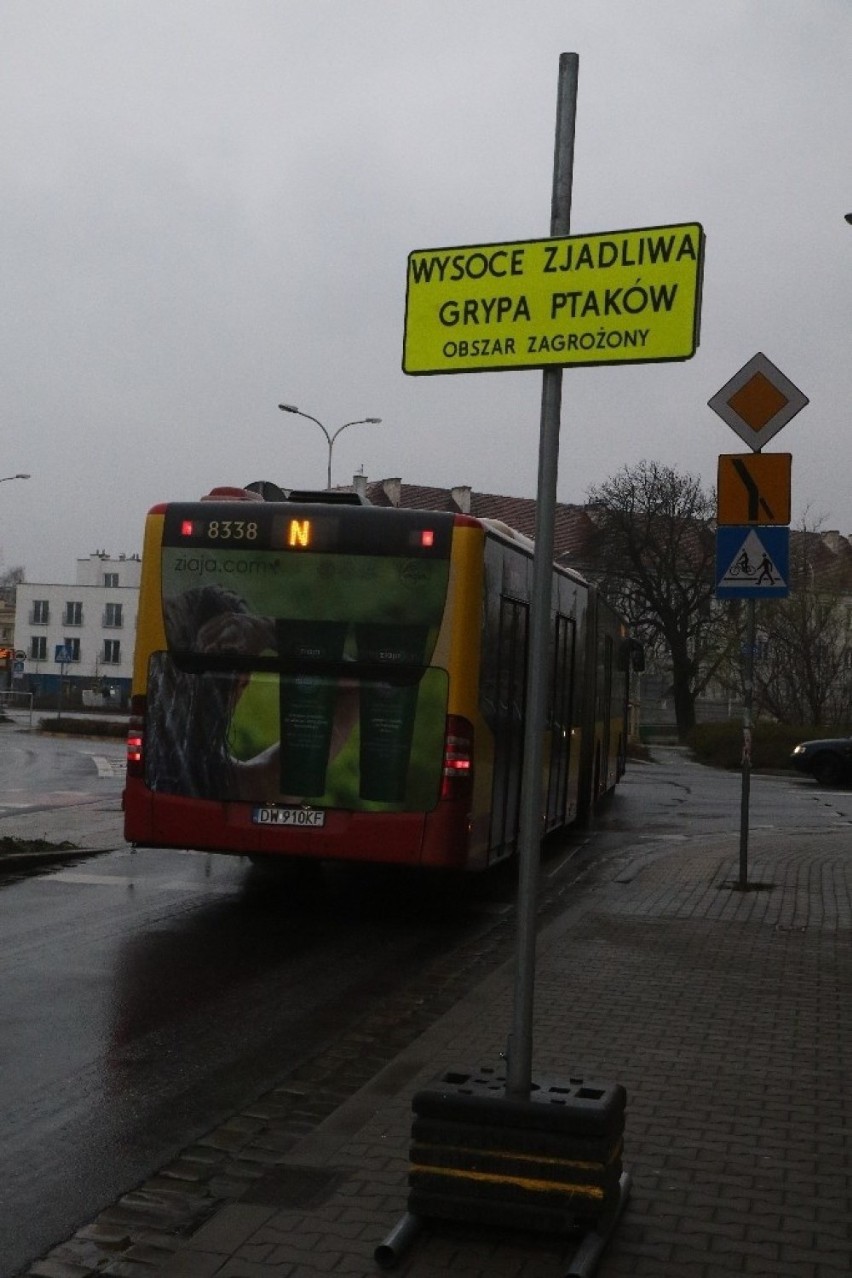 Wysoce zjadliwa grypa pod Wrocławiem. Część miasta poważnie zagrożona