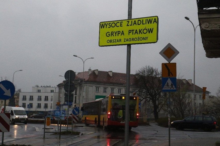 Wysoce zjadliwa grypa pod Wrocławiem. Część miasta poważnie zagrożona