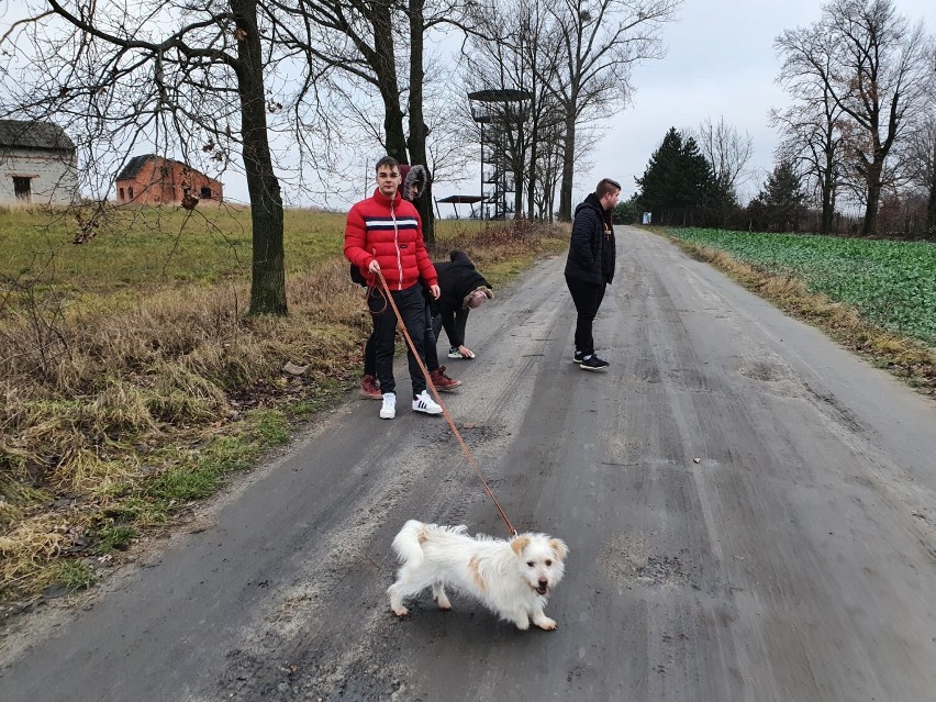 Krotoszyn: Uczniowie Zespołu Szkół Ponadpodstawowych nr 3 są wrażliwi na los bezpańskich zwierząt