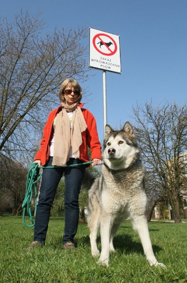 Dorota Kosmala od kilku dni nie może chodzić ze swoim malamutem na spacery po pobliskim trawniku, ponieważ obowiązuje tu zakaz wprowadzania psów. Władze Kieleckiej Spółdzielni Mieszkaniowej obiecują rozwianie problemu.