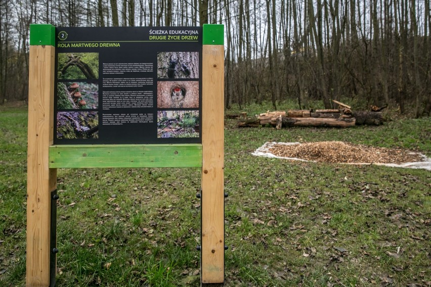 Kraków. W parku Reduta prace budowlane idą pełną parą [ZDJĘCIA]