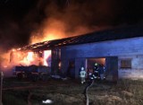 Seria pożarów w gminie Gizałki. Strażacy interweniowali już 6 razy