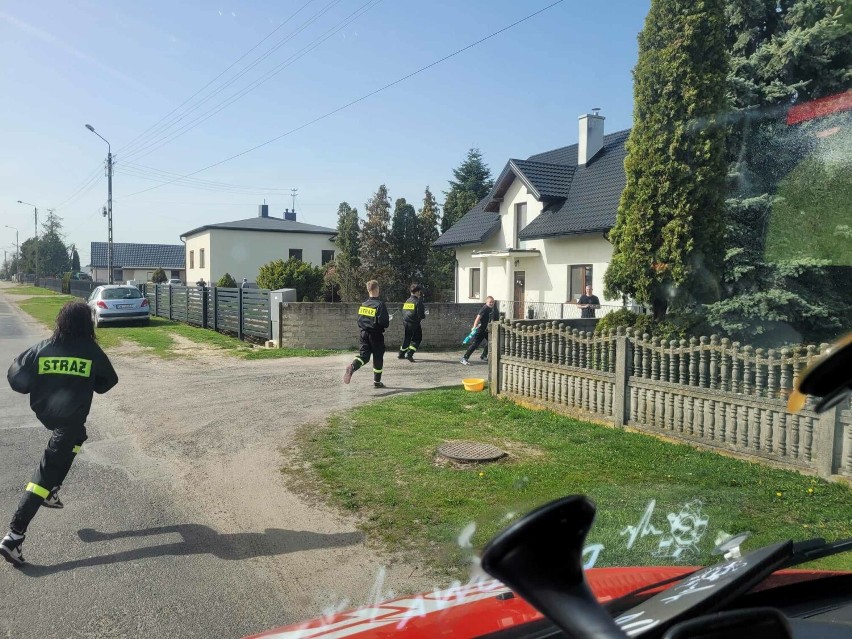 Śmigus - Dyngus z OSP w Dąbrowie. Świetna zabawa strażaków z mieszkańcami