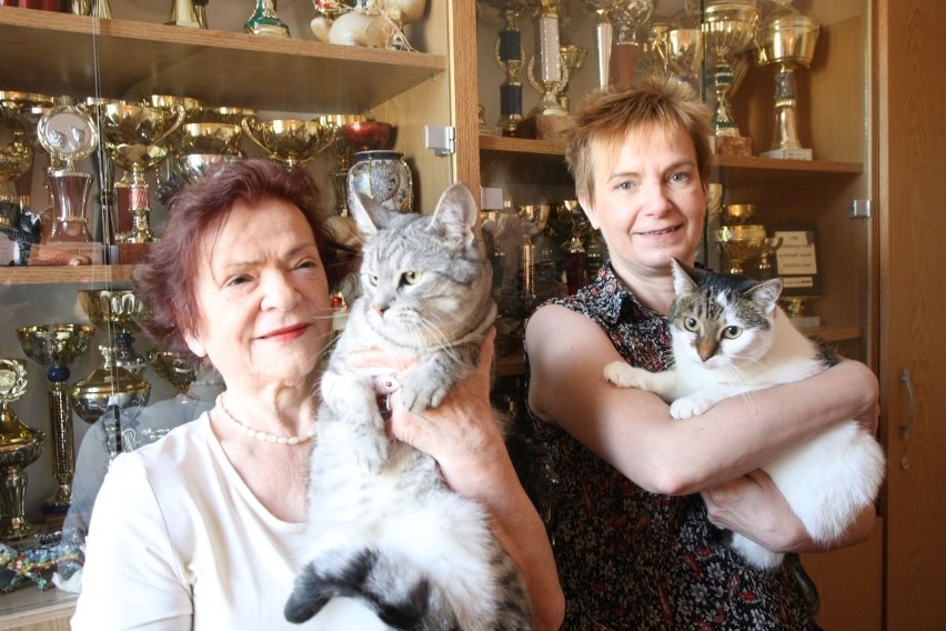Izolda Staszak i Maja Knurowska  (z prawej) i z kotami...