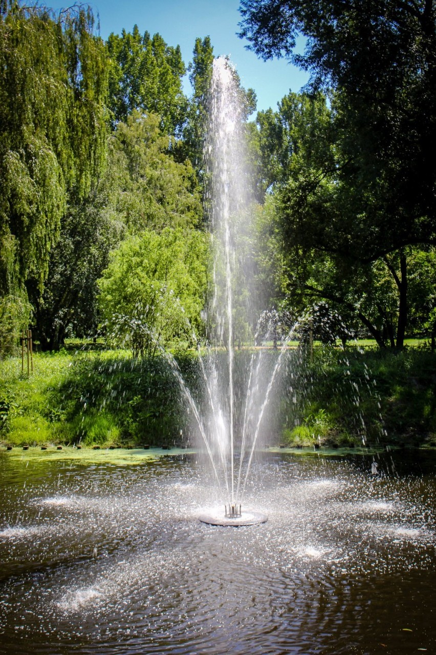 Nowe fontanny w łęczyckim parku