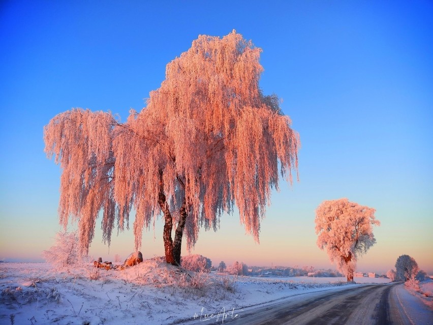 Zapraszamy do galerii najpiękniejszych zimowych zdjęć...