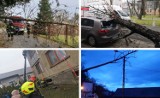 Huragan Ciara w woj. śląskim [ZDJĘCIA]. Uszkodzone dachy i sporo powalonych drzew.