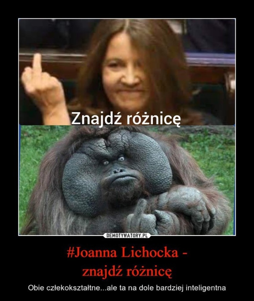 Posłanka PiS Joanna Lichocka pokazała w Sejmie środkowy...