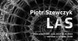 Katowickie BWA zaprasza na wernisaż wystawy Piotra Szewczyka pt. „Las". Ile można wydobyć z drewna?