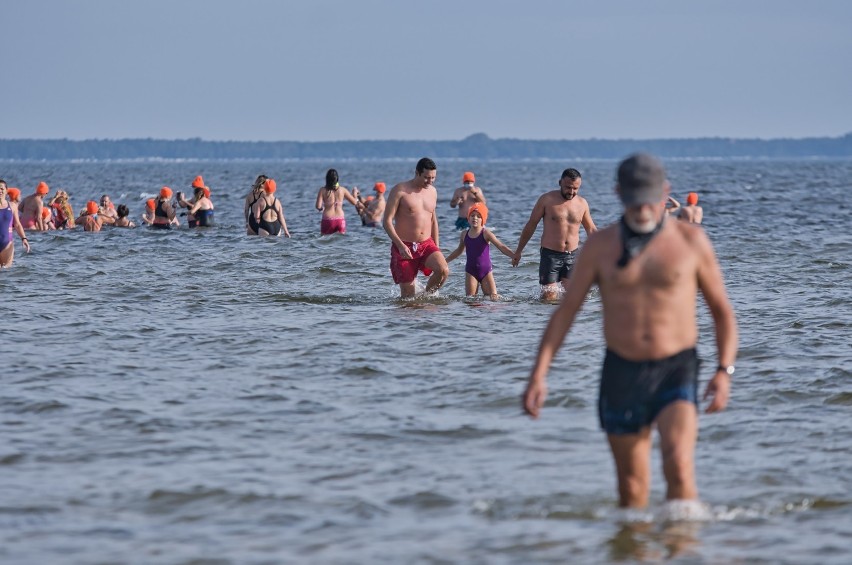 Morsy Puck już w wodzie. Pasjonaci zainaugurowali sezon kąpieli 2020-2021. Zatoka Pucka nie jest jeszcze zimna, ale chętni byli | ZDJĘCIA