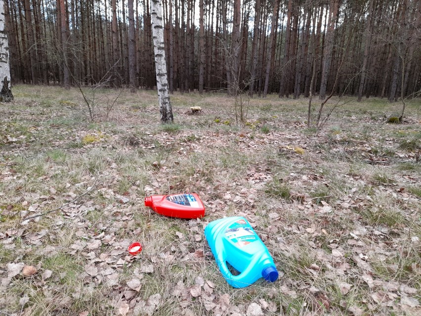 Lasy w okolicach Wolsztyna cały czas są zaśmiecane