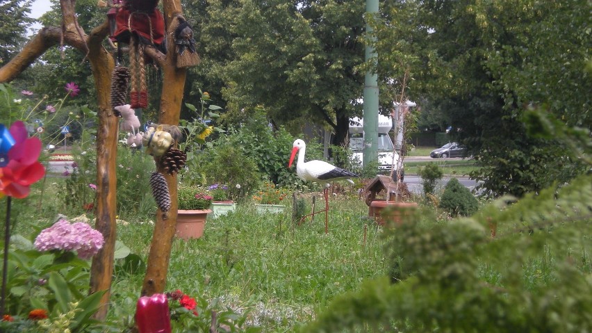 Ogród przy ul. Żwakowskiej [Zdjęcia]
