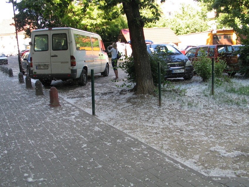 Głogów: Śnieg o tej porze? Spokojnie, to tylko pylenie topoli