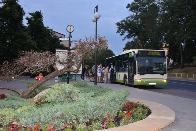 Dotychczasowe autobusy w Chełmie zostaną  wymienione na  ekologiczne zasilane wodorem. fot.
